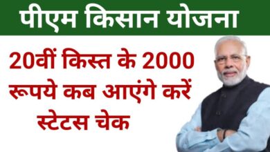 PM Kisan 20th Installment Status Check