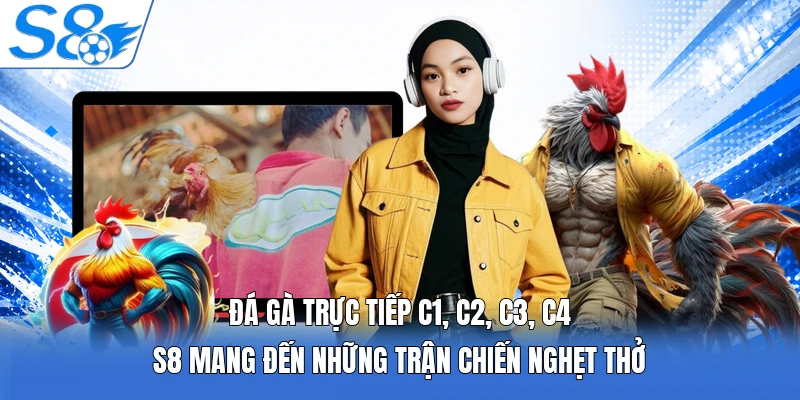 Đá gà trực tiếp C1, C2, C3, C4 S8 mang đến những trận chiến nghẹt thở
